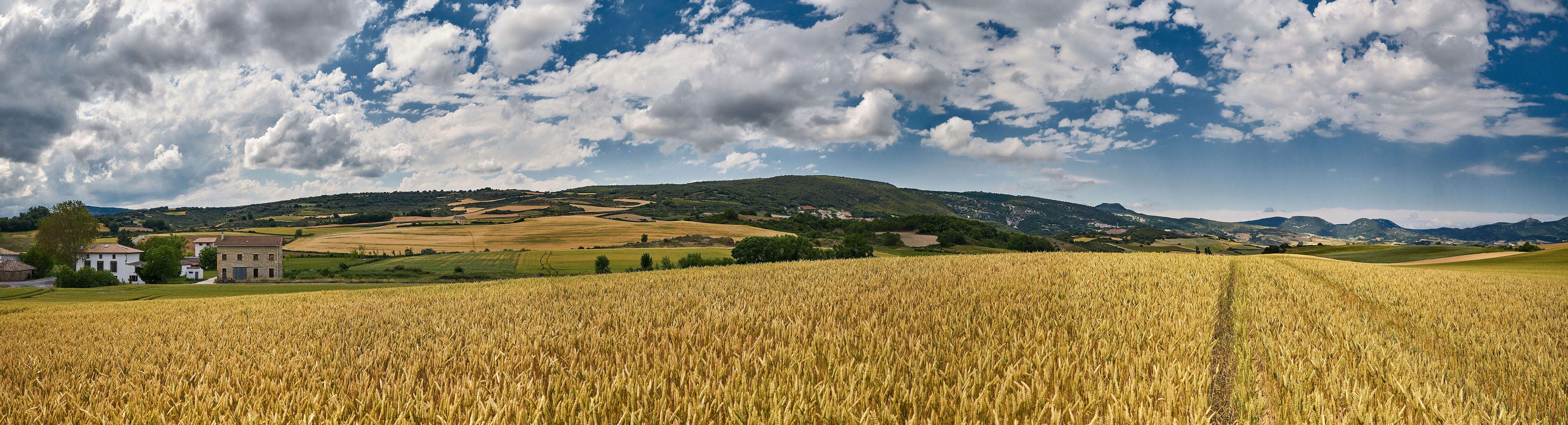 Zz valle