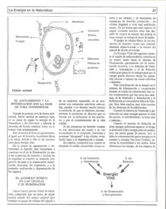 1987-10 CUADERNOS DE SIMBOLOGÍA Y NATURISMO(3)
