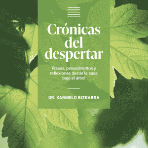 Crónicas del Despertar, de Ediciones Zuhaizpe