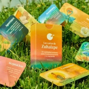 Cartas de Zuhaizpe (Nueva Edición)