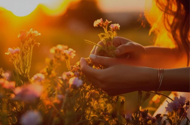 ZZ - Contacto con la naturaleza